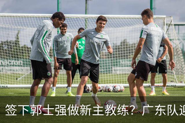 签下郭士强做新主教练？广东队迎来换帅机会，杜锋有望执教国家队